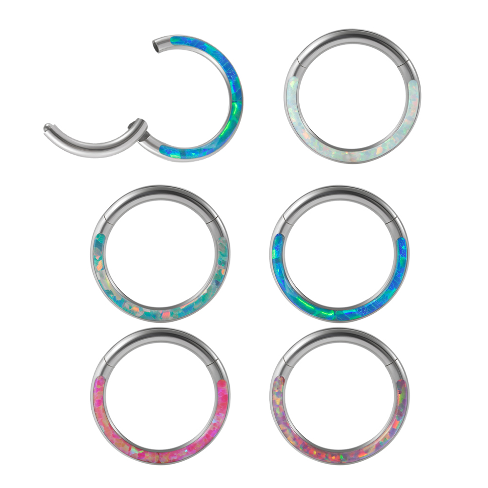 Body Piercing Quality Jewelry - 1 Stuk Chirurgisch Staal Opaal Scharnierend
