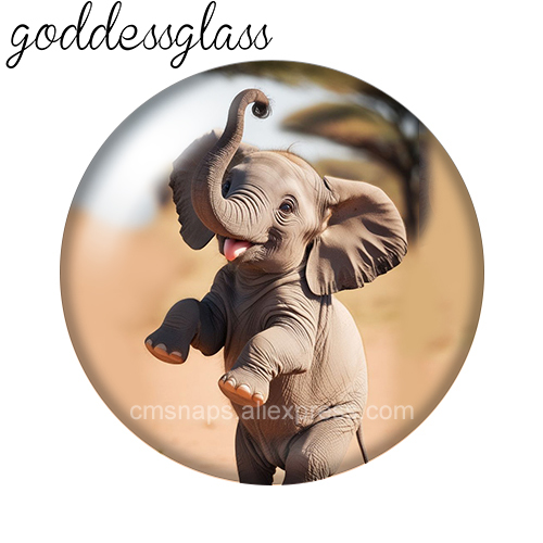 Olifant Schattig Wild Dier 10  - Body Jewelry Top recensie en prijs