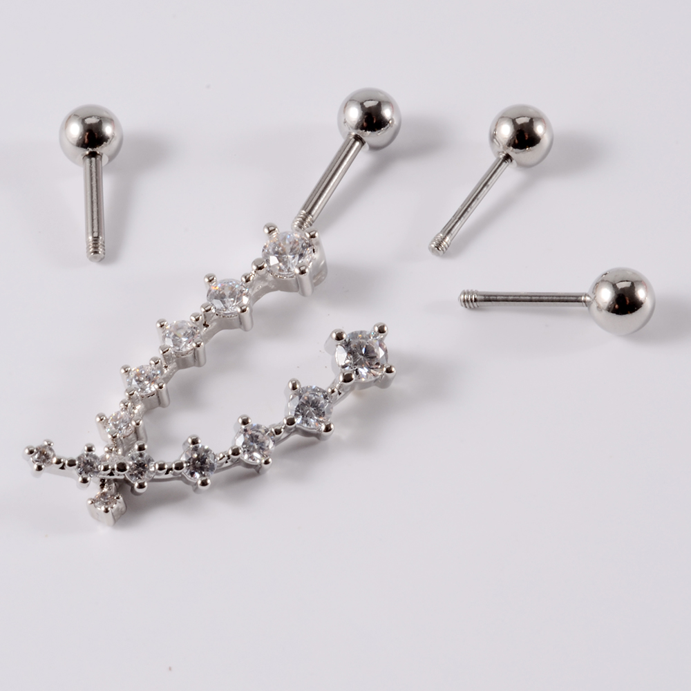 1Pc Rvs Cz Oor Tragus Kraakbee - Body Jewelry Barbell recensie en prijs