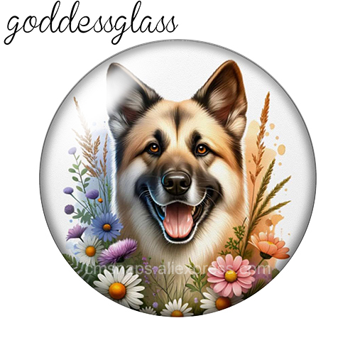 ‌ Schattige honden onder de bl - Body Jewelry Top recensie en prijs