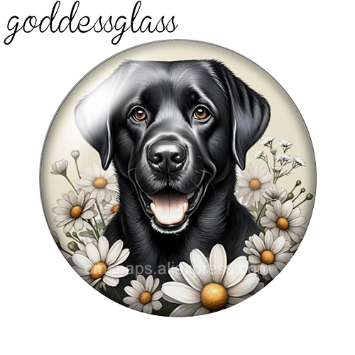 ‌ Schattige honden onder de bl - Body Jewelry Top recensie en prijs