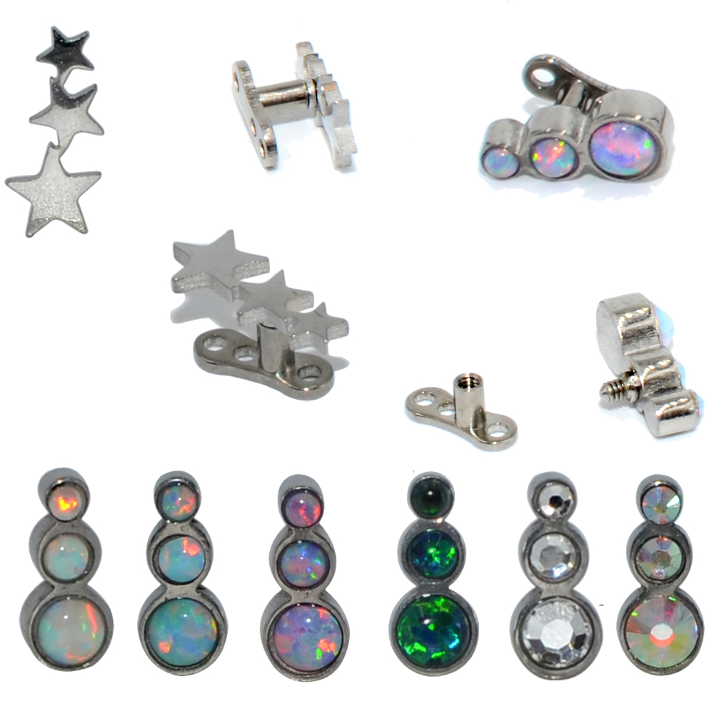 1Pc Staal/Titanium Base Micro  - Dermal Anchor Top recensie en prijs