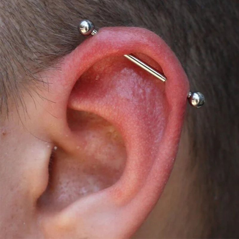 1/5 Stuks Titanium Industriële - Industrial Barbell Long recensie en prijs