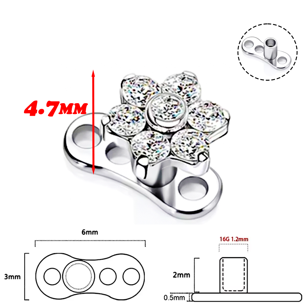 F136 Titaniumlegering Hoogwaar - Body Piercing Quality Jewelry recensie en prijs