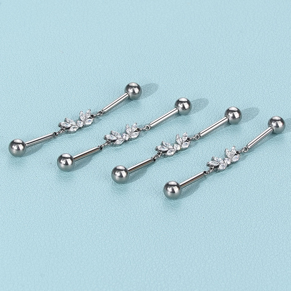 1Pc Titanium CZ Industriële He - Industrial Barbell Long recensie en prijs