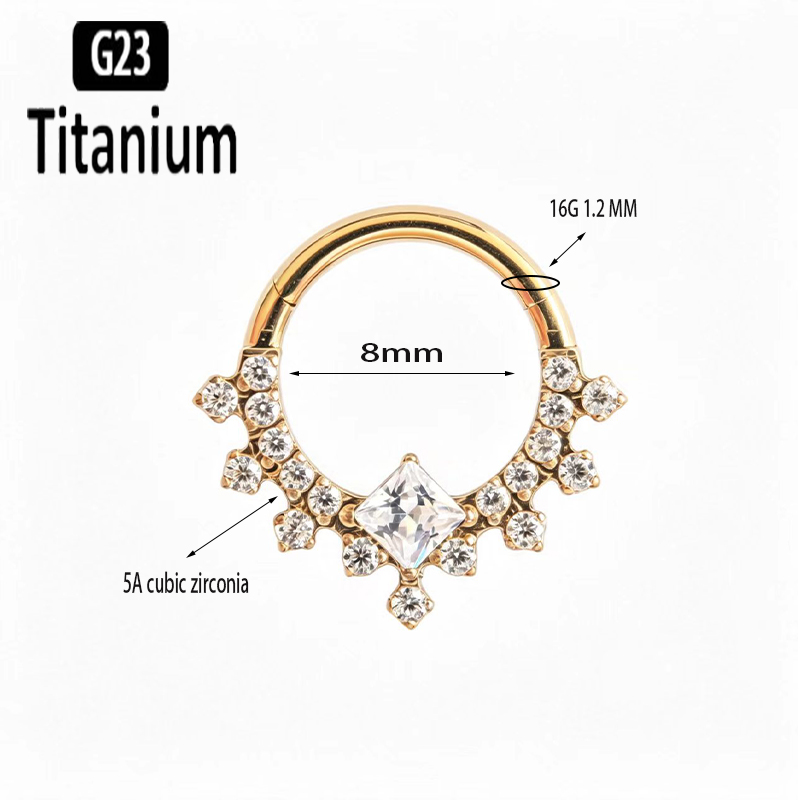 G23 Titanium Hoge Kwaliteit Pl - Body Piercing Quality Jewelry recensie en prijs