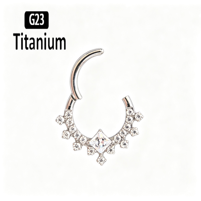 G23 Titanium Hoge Kwaliteit Pl - Body Piercing Quality Jewelry recensie en prijs