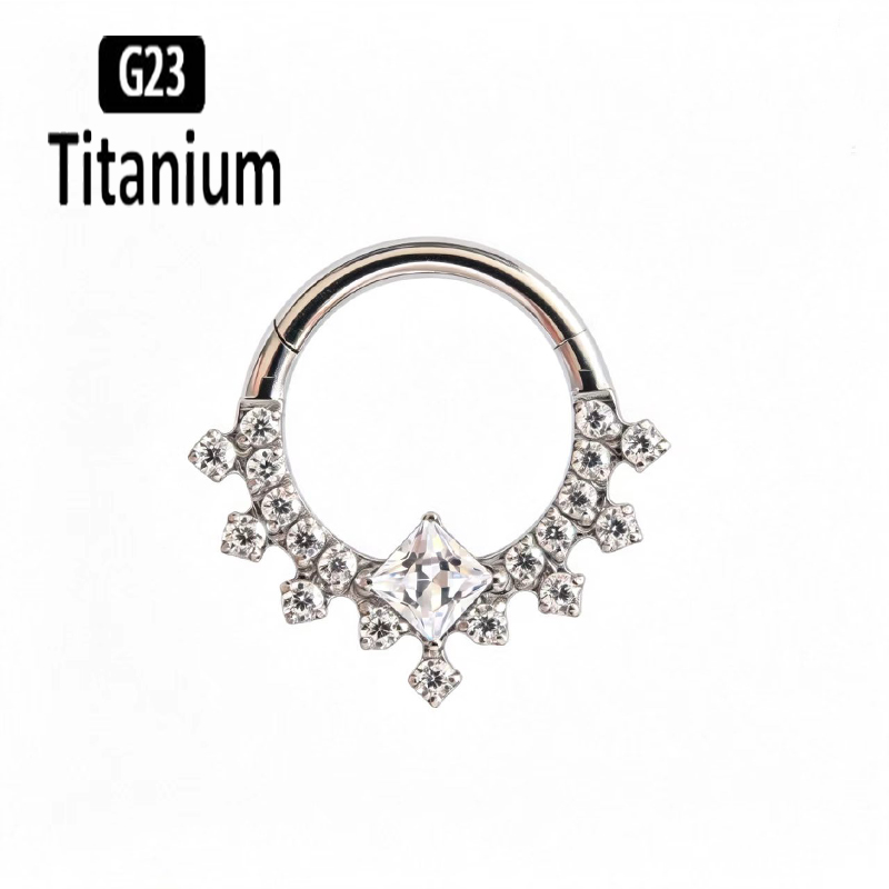 G23 Titanium Hoge Kwaliteit Pl - Body Piercing Quality Jewelry recensie en prijs